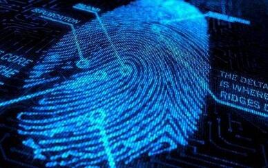 指纹传感器价格下滑 对识别市场有何影响?-电