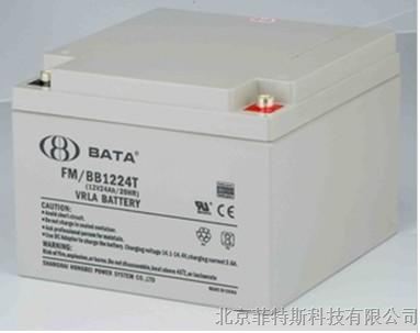 首款广泛使用锂电池的图片
