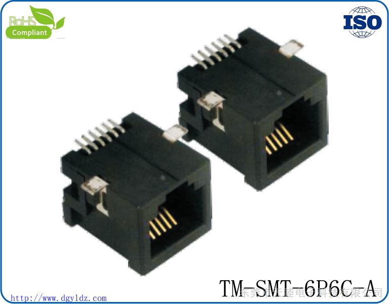 ʽRJ45