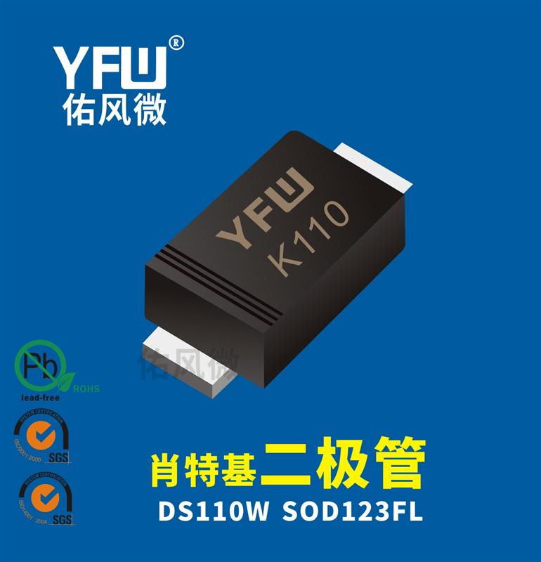 DS110W