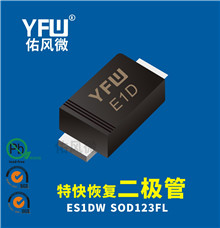 ES1DW