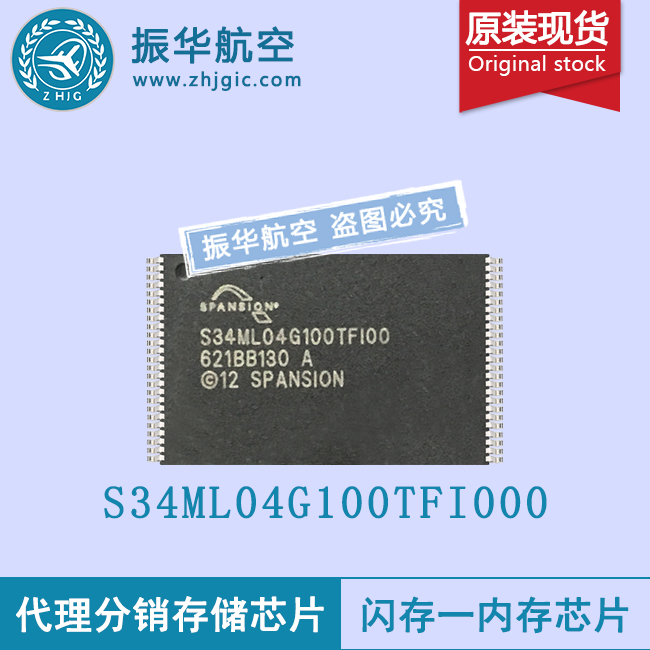 S34ML04G100TFI000