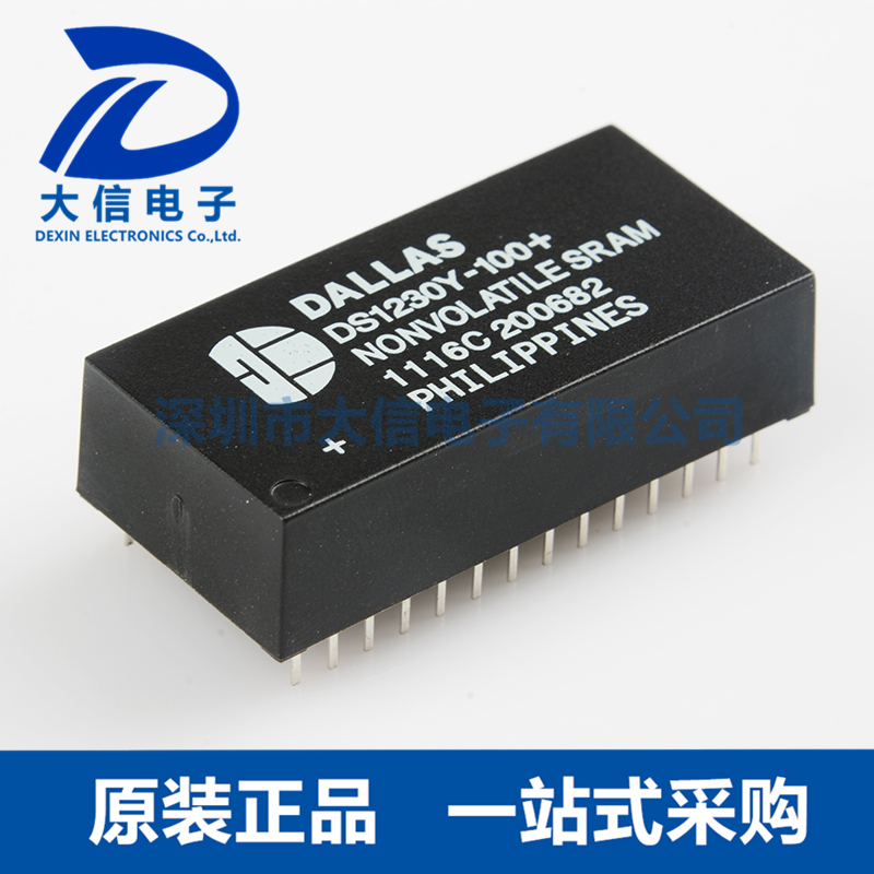 DS1230Y-100+