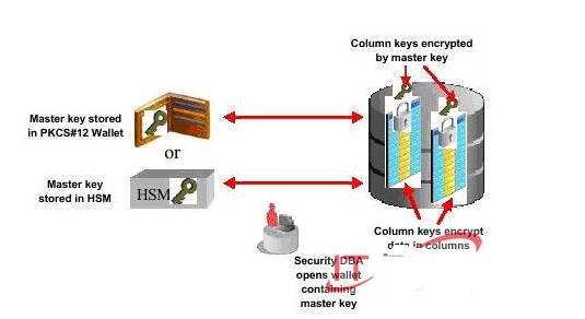 密钥管理系统概述_密钥管理系统架构图