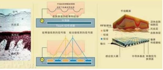 博鱼中国官网智能指纹锁的原理配置结构与功能详述(图3)