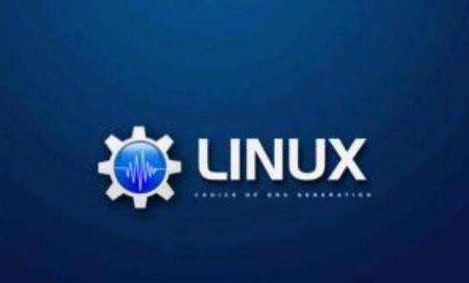 关于四种实时嵌入式Linux操作系统的对比分析浅析