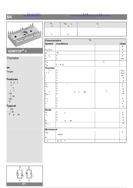 SK100WT數(shù)據(jù)手冊(cè)封面