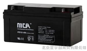 FC12-65锐牌UPS电源专用蓄电池12V65AH