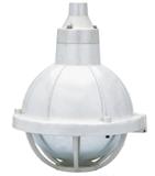 CBD52-e防水防尘防腐全塑灯,工业增安型防腐防爆灯生产
