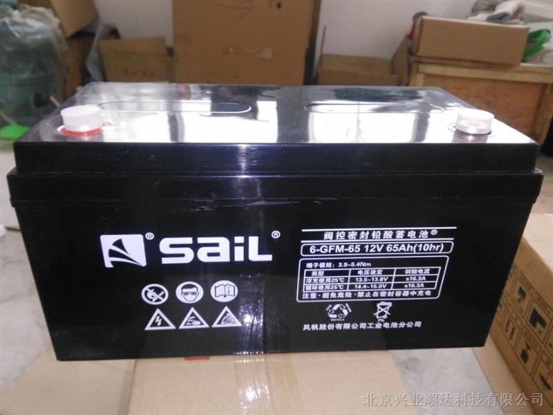 SaiL 6-GFM-100 12V100AH蓄电池