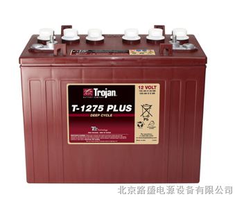 供应美国邱健蓄电池J305P-AC参数