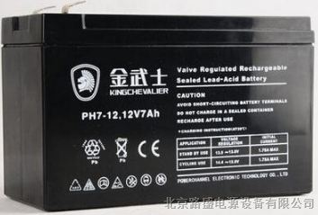 原装金武士12V24AH UPS蓄电池