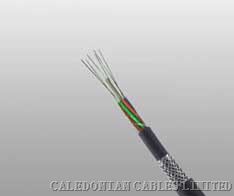 供应局域网电缆非屏蔽超五类低烟无卤双绞线IEC60332标准防火通讯缆