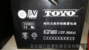 供应TOYO东洋蓄电池6GFM100