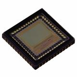 ON-Semiconductor NOIL1SM0300A-QDC，原装图像传感器，相机