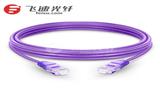 1m Cat6六类非屏蔽双绞线 卡沟设计网络跳线 PVC外护套（紫色）