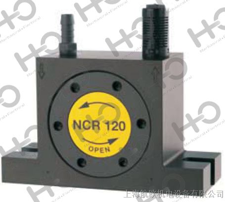 供应NEG 2570荷兰Netter振动器