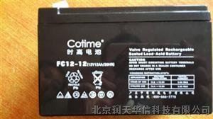 铅酸蓄电池FC12-24|12V24AH免维护蓄电池