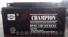 蓄电池NP150-12型号