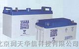 海南汤浅蓄电池NPL120-12免维护电池型号