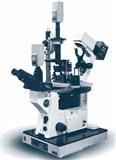 SNOM近场光学扫描显微镜 NT-MDT 品牌保证 原装进口 应用于半导体行业