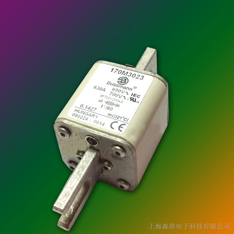 Ӧȫԭװ˹۶170M3241