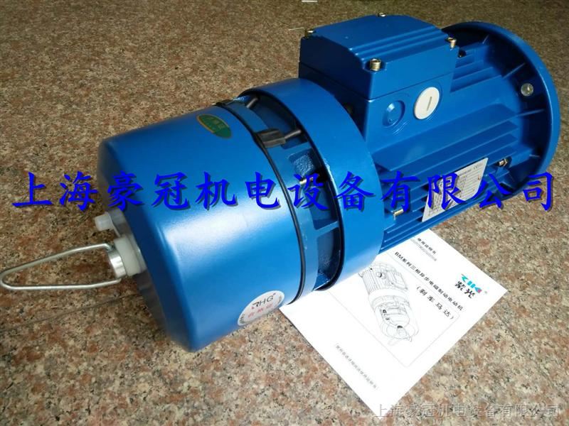 BMA100L2-4中研紫光刹车电机