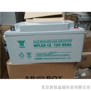 汤浅NPL24-12/12V24AH阀控式铅酸蓄电池参数报价