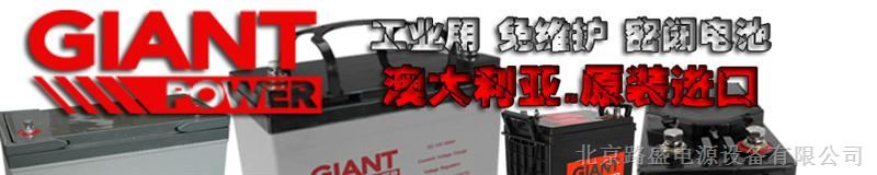 供应GIANT蓄电池澳大利亚GIANT蓄电池中国总代理