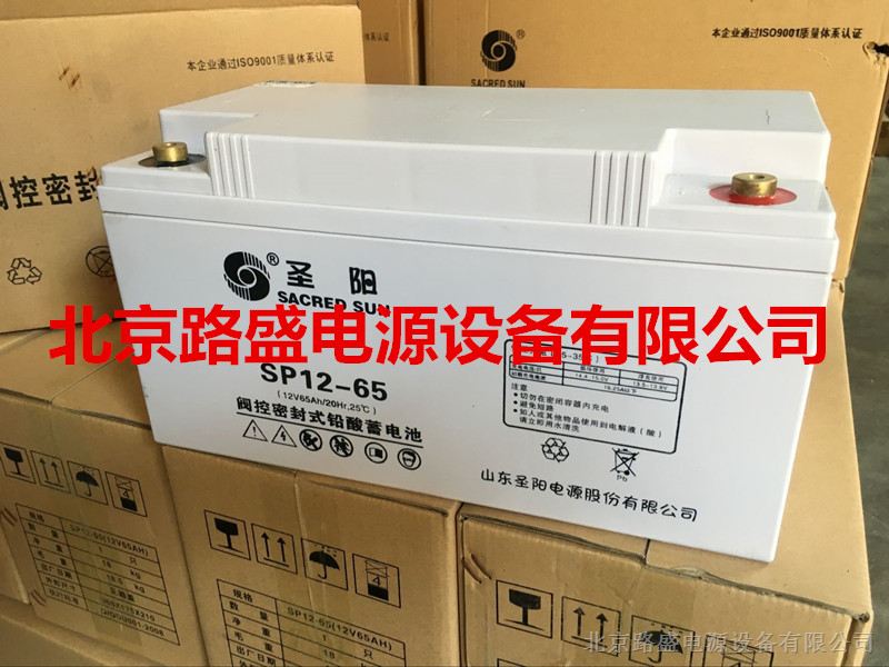 供应山东圣阳蓄电池SP12-65报价/规格-行业设备