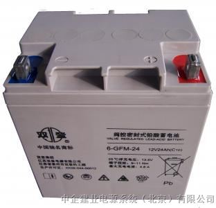 供应双灯蓄电池6-GFM-24