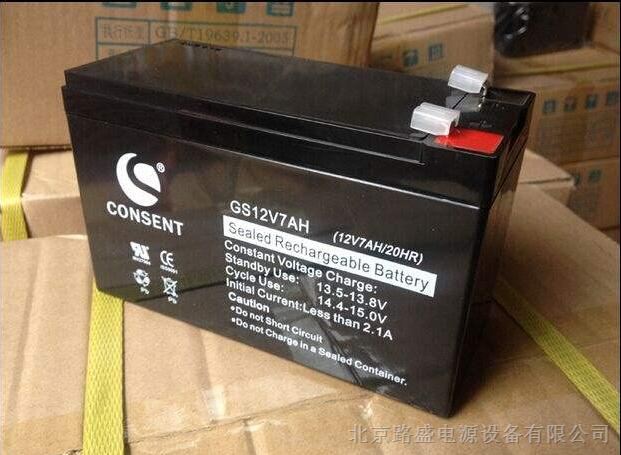 光盛蓄电池GS12V65AH参数价格