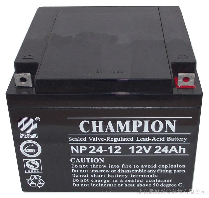 CHAMPION蓄电池NP100-12 12V100AH