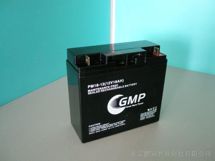 GMP蓄电池PM38-12 12V38AH/直流屏电源专用