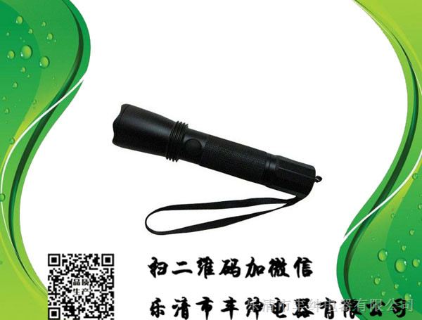 供应BZ7600D固态微型防爆电筒厂家，BZ7600D价格