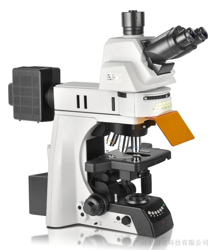 明慧电动荧光显微镜，为实验室和临床显微镜操作应用