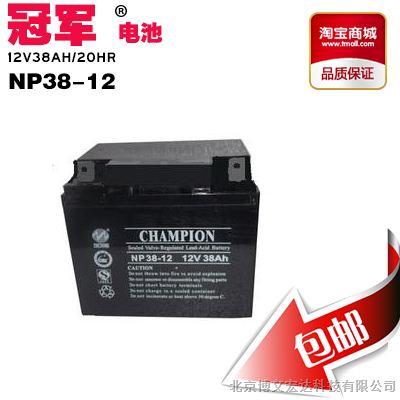 广东蓄电池12V38AH NP38-12 机房专用