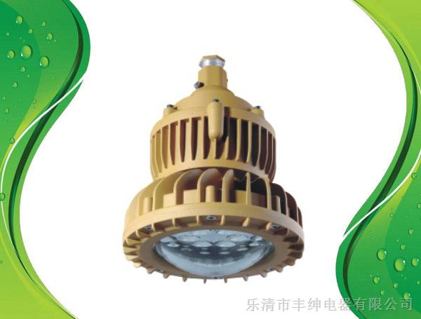 防爆灯具XNF865-50W 圆形50WLED防爆泛光灯