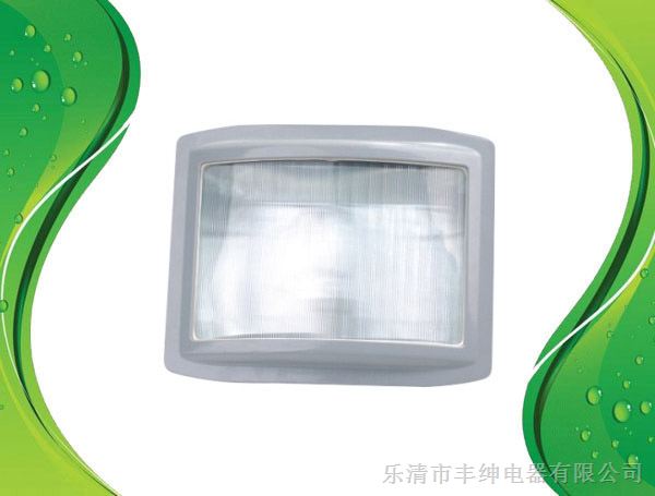 GNLC9621B防眩泛光灯 70W100W150W固态免维护泛光灯