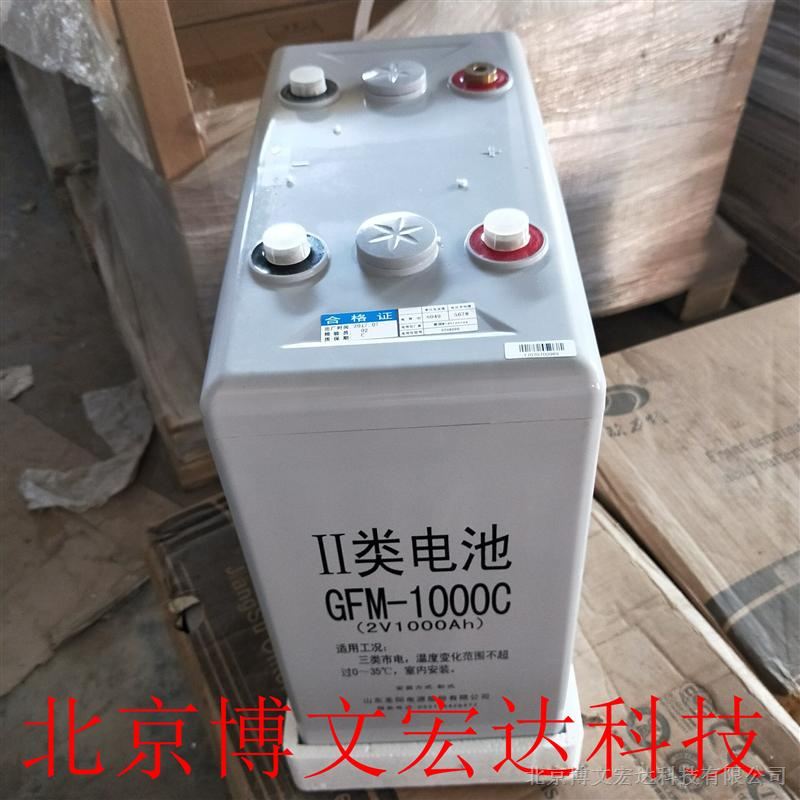 UPS电源专用蓄电池 双登2V300AH