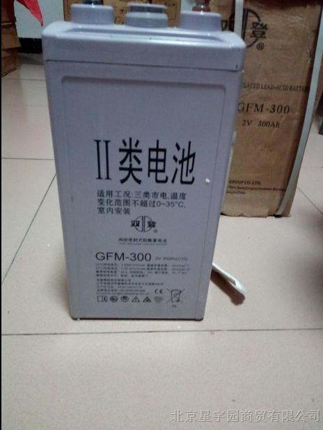 双登蓄电池GFM-300 2V300AH现货价格