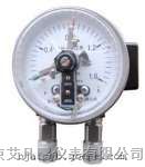 艾凡鹏厂家现货 TCD-100型电接点差压表