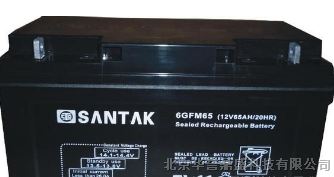 供应山特蓄电池6GFM65代理/SANTNK价格