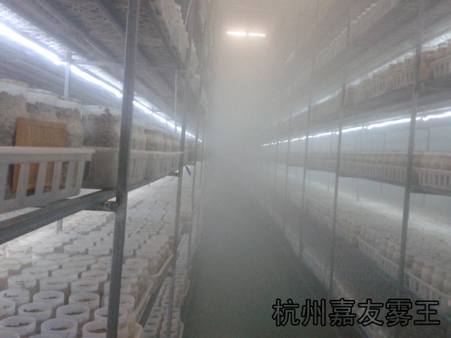 香菇培植厂高压微雾加湿设备