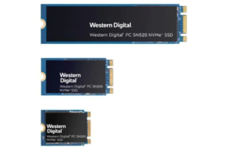 固态硬盘 - SSD SDAPNUW-512G-1022
