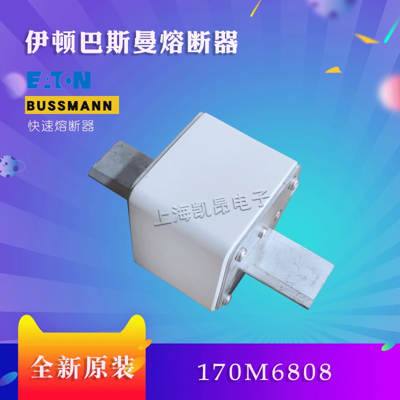 美国巴斯曼快速熔断器 170M6809D  全新原装现货