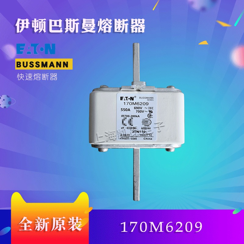 美国伊顿BUSSMANN巴斯曼170M6309  170M6308熔断器现货直拍