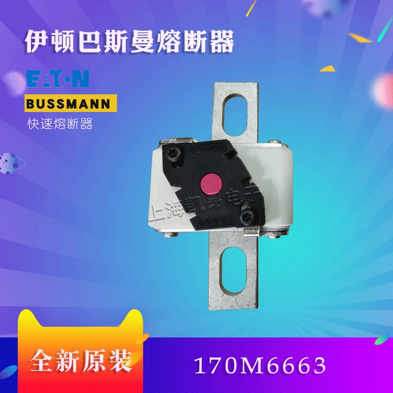 美国伊顿BUSSMANN巴斯曼170M5659  170M5658熔断器现货直拍