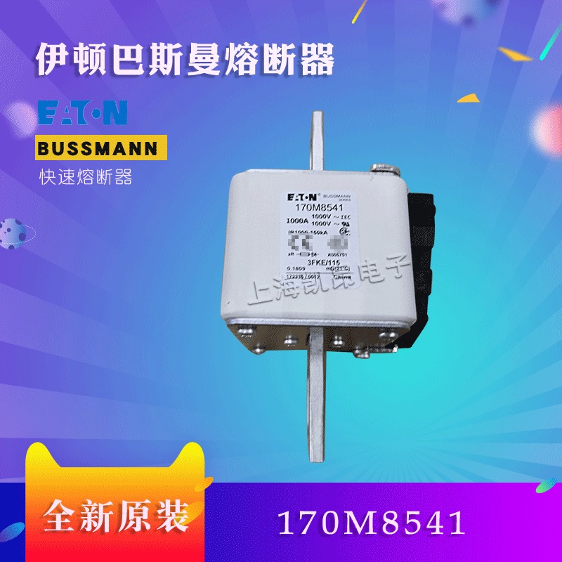 美国伊顿BUSSMANN巴斯曼170M8532  170M8531熔断器现货直拍