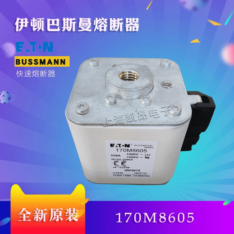 美国伊顿BUSSMANN巴斯曼170M8605  170M8604熔断器现货直拍